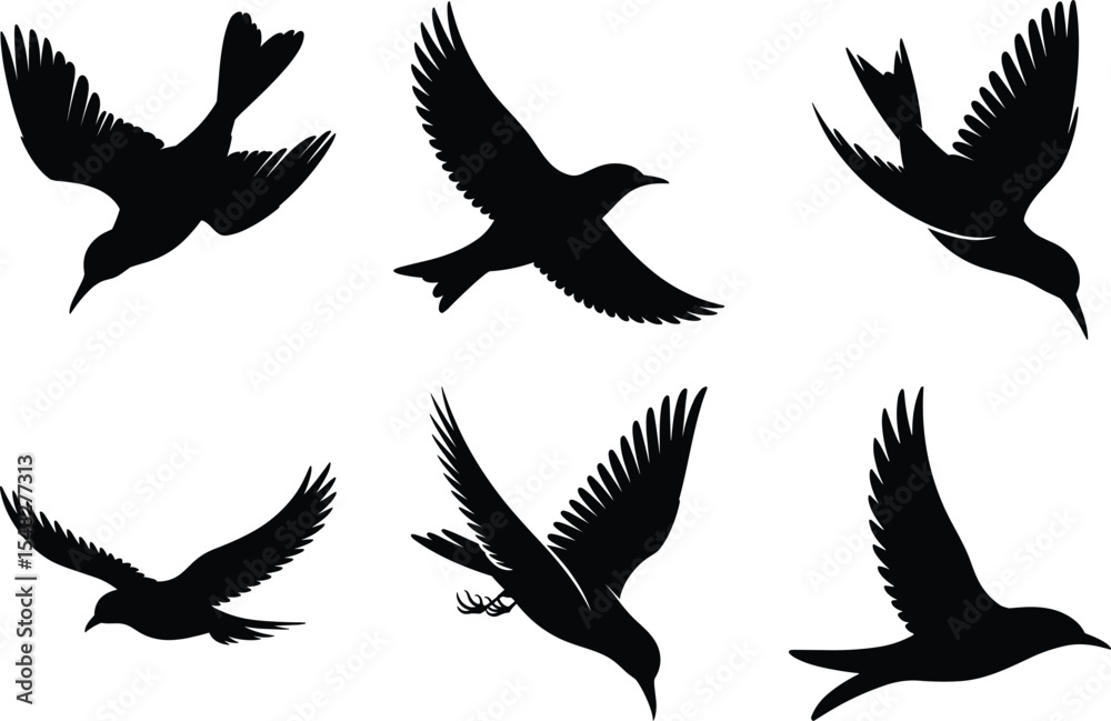 Obraz premium Bird Silhouette illustration, Flying Birds Svg Vector Art and White Background. Bird icon graphics.