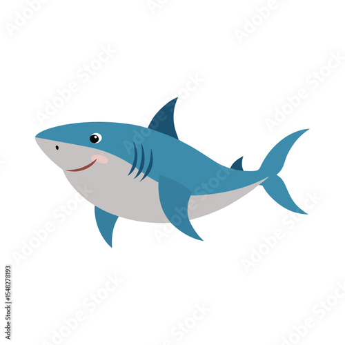 vector illustration of a shark