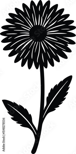 Heliconia flower with tropical long leaves and petal cluster arrangement silhouette vector
