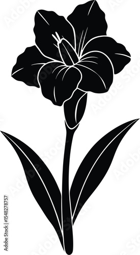 Gladiolus flower with long stem and decorative petal design in bloom silhouette vector
