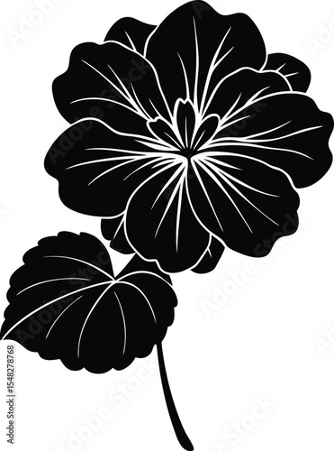 Geranium flower in botanical style leaf and petal structure illustration silhouette vector