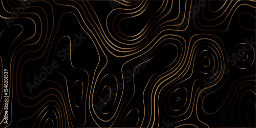Gradient color topology and topography vector design abstract background contour map texture for print works . black curve line background with wave shape vector illustration.	