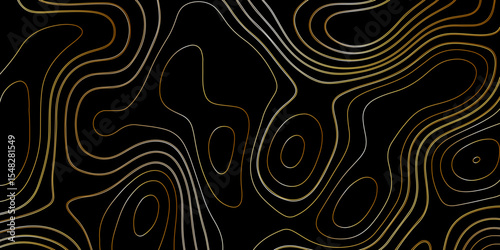 Gradient color topology and topography vector design abstract background contour map texture for print works . black curve line background with wave shape vector illustration.	