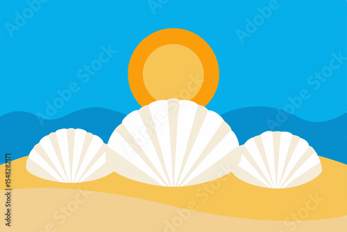 sea shell on the beach