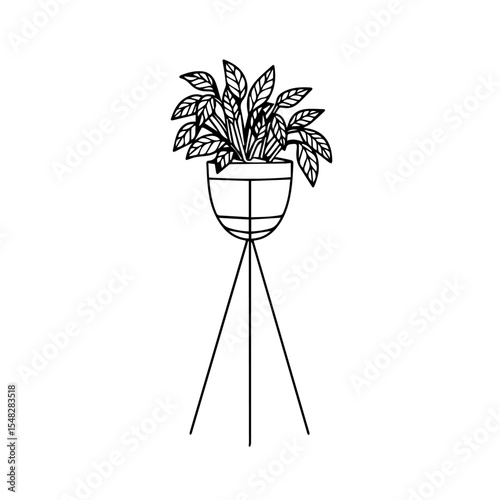 Simple potted plant on tripod stand. Stylish home decor with minimalist plant in pot on metal stand.  Plant pot on tripod is perfect for interior design projects.
