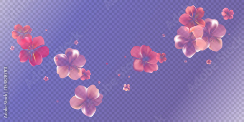 Aroma Cherry blossoms flow. Delicate transparent flowers bg.