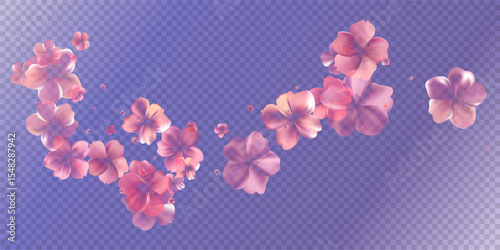 Aroma Cherry blossoms flow. Delicate transparent flowers bg.