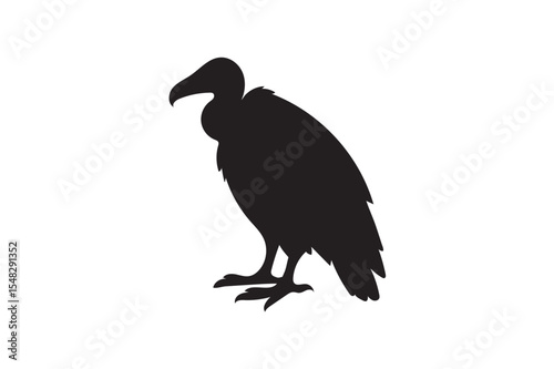 vulture  bird silhouette on white background.