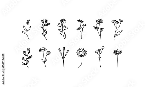 Simple Black Flower Group. Flat black flower silhouettes with soft rounded petals and organic stems.
