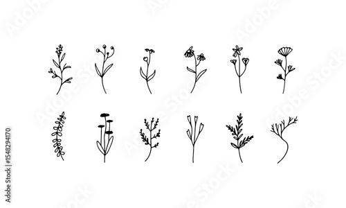 Flat Flower Design. Clean black silhouettes of blooming flowers with organic spacing and thin stems.