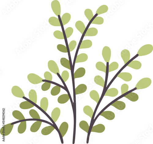Elegant Green Foliage Branches Design Botanical Illustration Perfect for Wedding Invitations or Nature Themed Projects