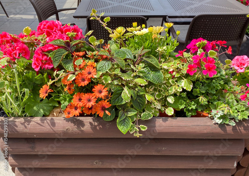 Bright flowers in various colors fill a wooden planter at an outdoor restaurant space, creating a vibrant atmosphere during the warm afternoon