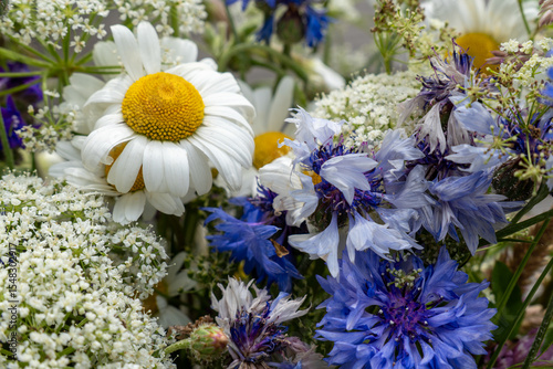 Rustic Wildflower Bouquet with Blue Cornflower, White Oxeye Daisy and Queen Anne’s Lace – Summer Floral Macro Portrait