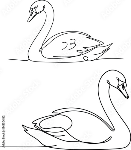 Continuous Line Drawing of Two Swans Gracefully Swimming, Artistic Wildlife Illustration