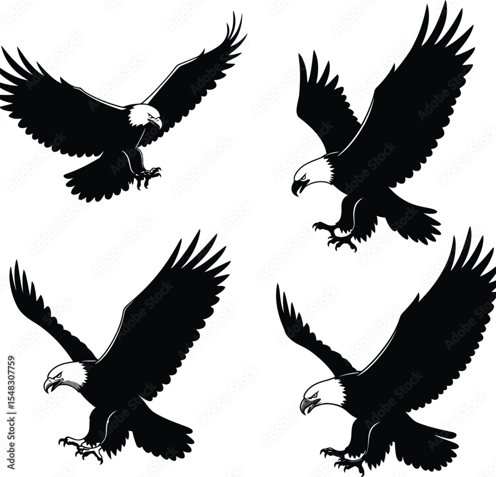 Obraz premium Set of four black silhouette eagle avian bird winged illustration graphics on white background