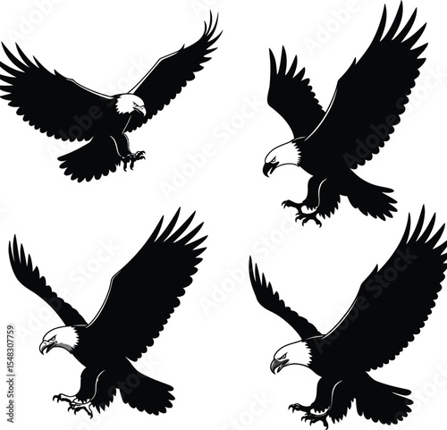 Set of four black silhouette eagle avian bird winged illustration graphics on white background