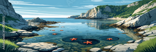 Flat vector panoramic landscape of rocky coastline with tidal pools and starfish clean outlines vector-friendly