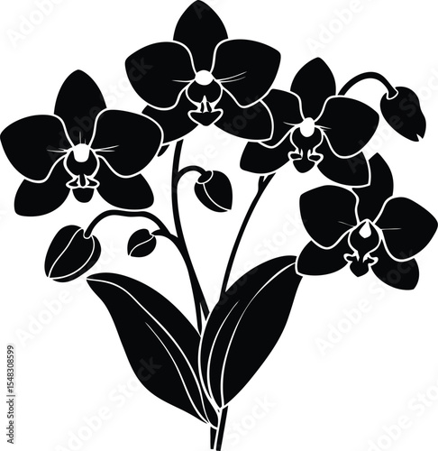 Orchid flower collection featuring phalaenopsis and dendrobium types silhouette vector