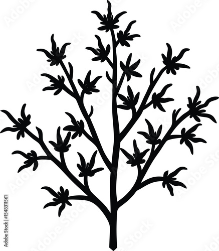 Witch hazel flower illustration with curling petals and natural wild shape silhouette vector