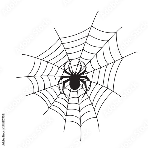 spider on web