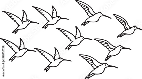 A diverse set of vector bird silhouettes, including flying doves and graceful cranes, captures the essence of wildlife in flight