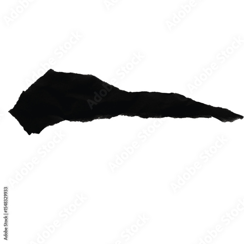 An elegant, tapered calligraphic brushstroke, thick on one end and fine on the other. This expressive black shape embodies precision and flow, ideal for logos, signatures, and sophisticated designs.

