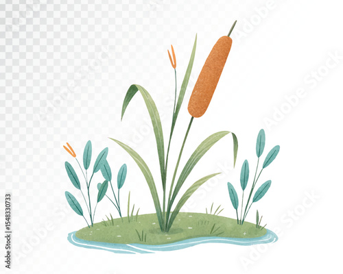 Watercolor Reed with Details for Natural Landscape Themes in Gentle Colors for Decor and Botanical Art