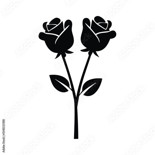 Two black roses simple elegant floral design