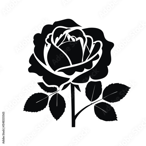 Elegant black silhouette rose flower botanical illustration