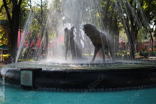 Fountain, Mexico, Statue of dogs