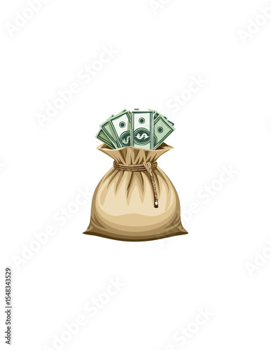money bag with money