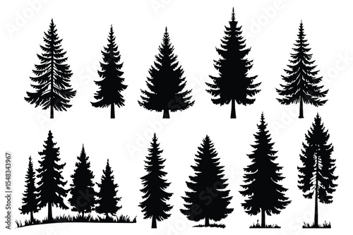 Evergreen forest tree vector collection – isolated pine and fir tree shapes