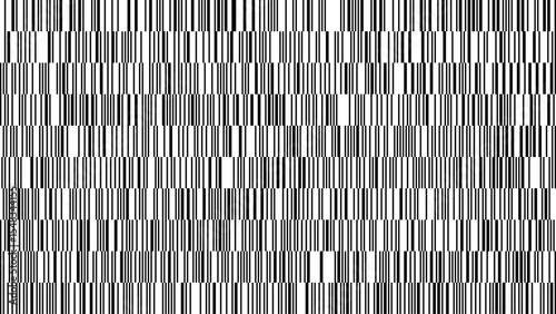 A detailed arrangement of vertical black and white lines creates a striking pattern that captivates the viewer's attention, showcasing artistic flair and precision.
