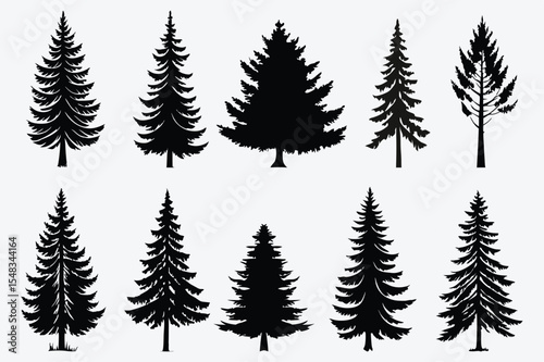 Evergreen forest tree vector collection – isolated pine and fir tree shapes