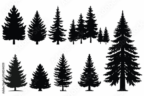 Black pine tree illustrations – natural forest and Christmas tree vector set
