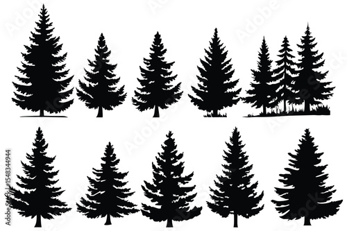 Black pine tree illustrations – natural forest and Christmas tree vector set