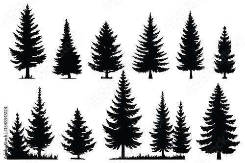 Evergreen forest tree vector collection – isolated pine and fir tree shapes