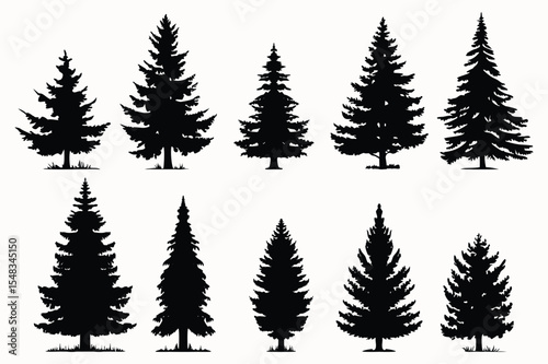 Evergreen forest tree vector collection – isolated pine and fir tree shapes