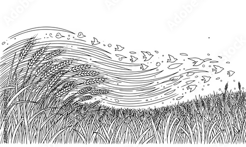 A Series for Alleviating Sadness and Treating Depression :
(9) Wheat Fields in the Wind with Soaring Birds (Line Art)