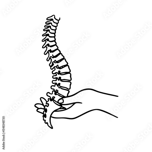 Minimal line art illustration of a human hand holding a spine. Concept of chiropractic care, spinal health, physiotherapy, orthopedics, and manual therapy. Simple and clean design for medical, anatomy