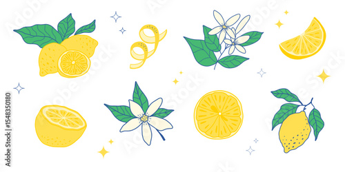Vector set of fresh lemons: whole, sliced, and with leaves and flowers. Perfect for juice, lemonade, packaging, healthy food, vegan design, vitamin C themes.
