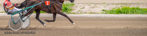 Equestrian sport. Horizontal photo banner. Copy space for your text. Horses compete in harness racing