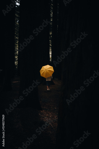 Yellow umbrella in forest