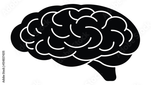 Human Brain Anatomy, Function, and Cognitive Processes