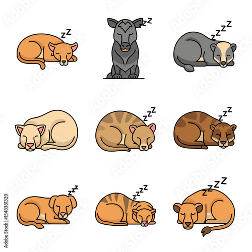 Adorable Sleeping Animals A Collection of Cute, Zzz-ing Creatures
