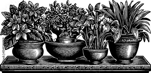 Black and white terrace scene with large planters for garden design