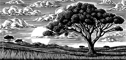 Serene savanna grassland with lone acacia tree silhouette at sunset for nature-inspired designs