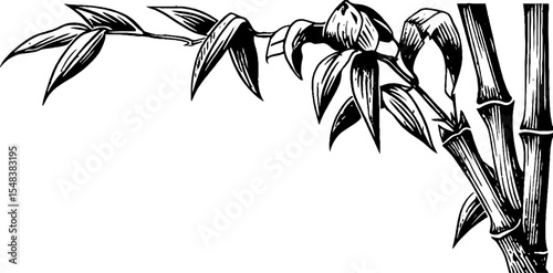 Black and white bamboo stalk corner segment for decorative designs