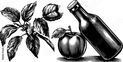Vintage cider bottle with apple and sprig design for labels and posters