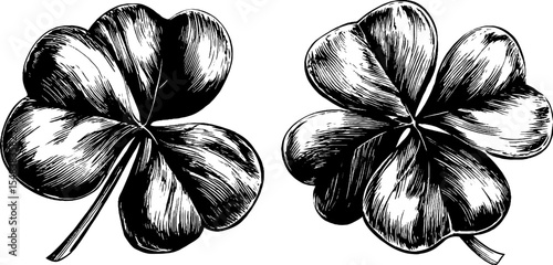 Elegant clover stud earrings design in black and white for fashion accessories